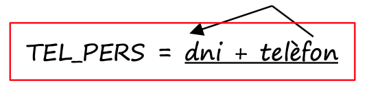 1FN exemple cas 1